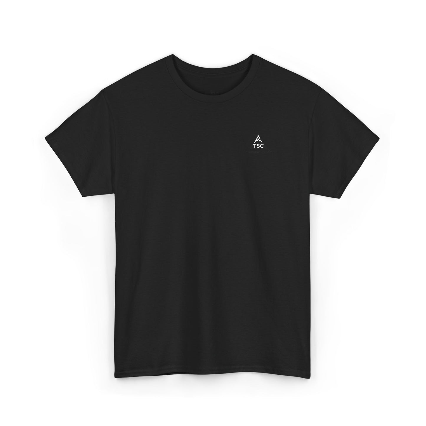 The Someday Club™ Apollo 11 T - Unisex Heavy Cotton Tee